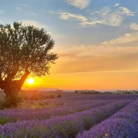 Cozy House Valensole